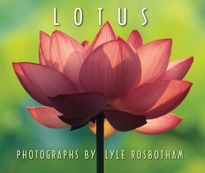 View Lotus by Lyle Robotham