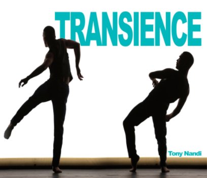 Transience by Tony Nandi book cover