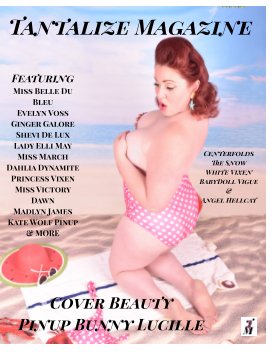 April Pinup Inspired book cover
