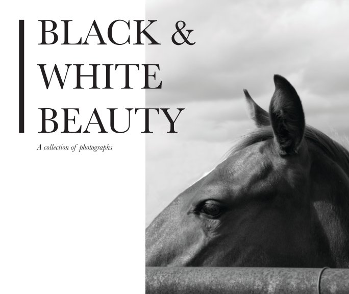 View Black And White Beauty by Adriana Barker