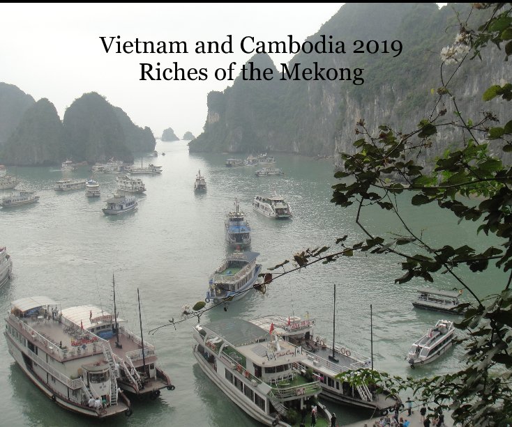 View Vietnam and Cambodia 2019 Riches of the Mekong by Margaret Pollock