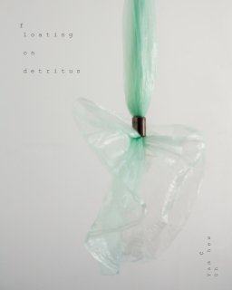 Floating on Detritus book cover