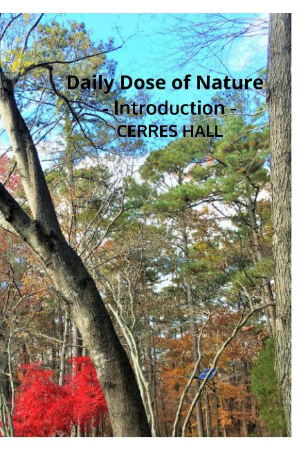 View Daily Dose of Nature by Cerres Hall