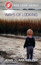 Ways of Looking book cover