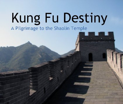 Kung Fu Destiny book cover