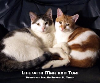 Life with Max and Tori book cover