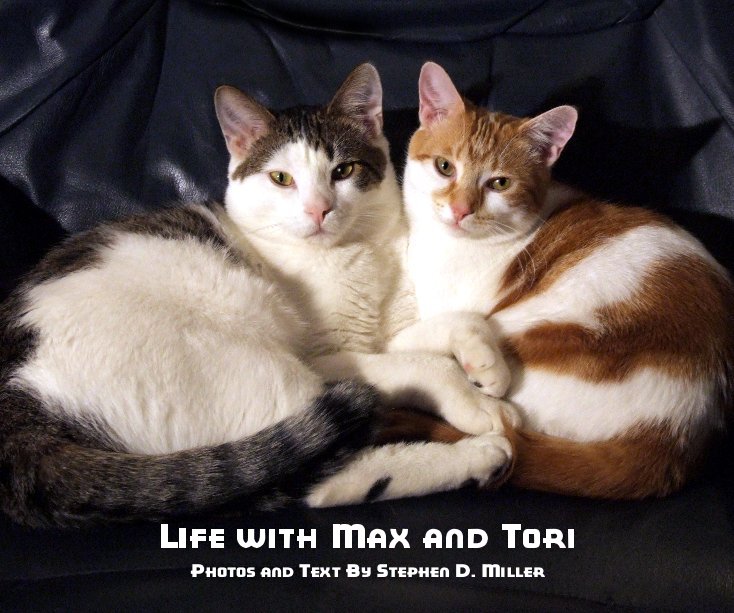 View Life with Max and Tori by Stephen D. Miller