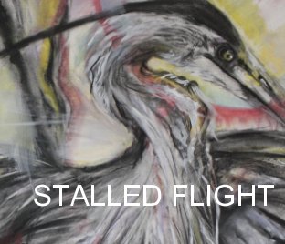 Stalled Flight book cover