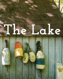 The Lake book cover