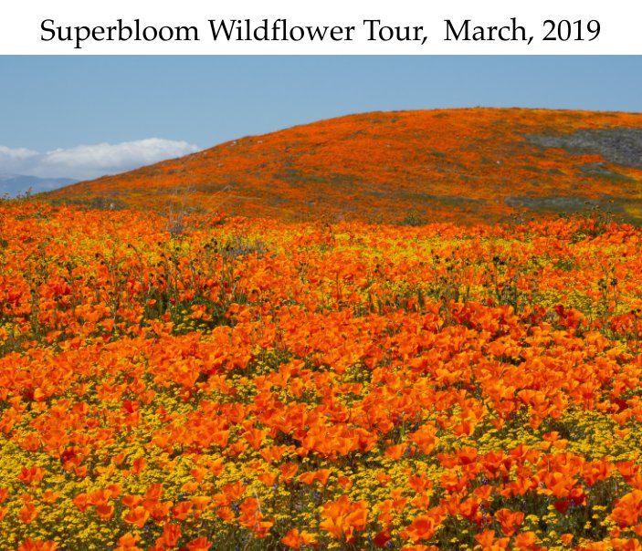 View Superbloom Wildflower Tour by Nancy Van House