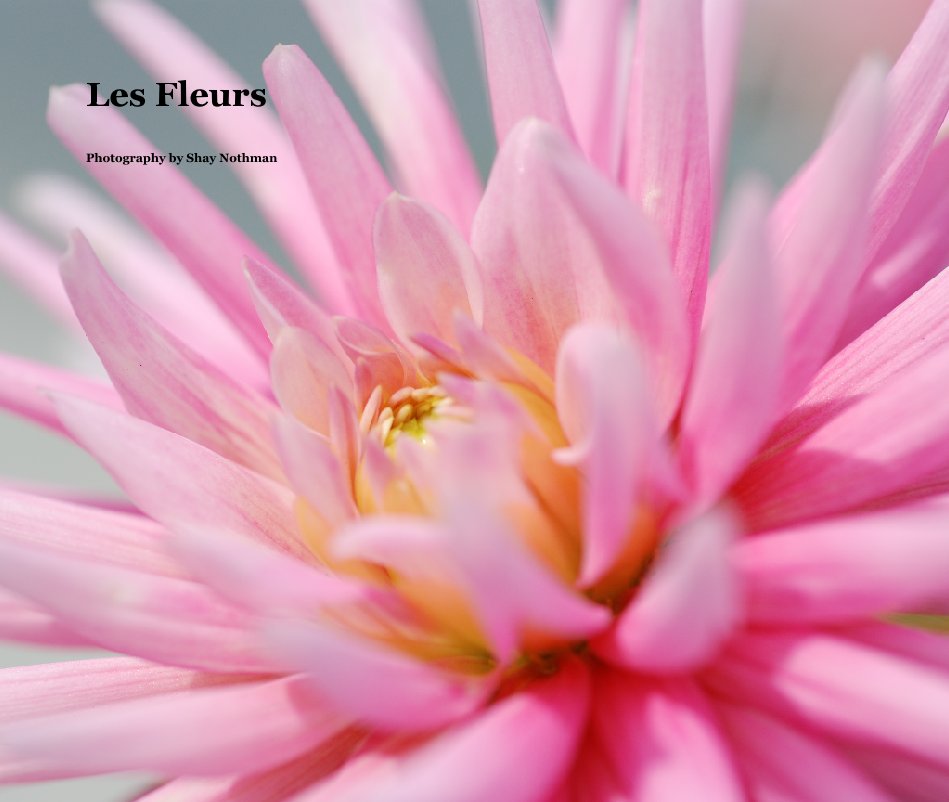 Ver Les Fleurs por Photography by Shay Nothman