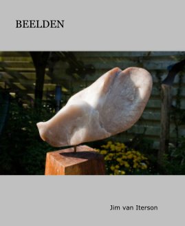 BEELDEN book cover
