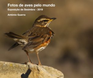 Fotos de aves pelo mundo book cover