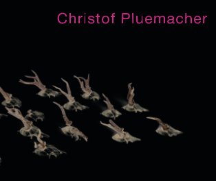 Christof Pluemacher book cover