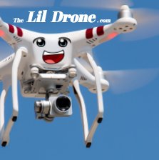 The Lil Drone book cover