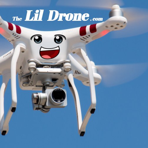 View The Lil Drone by Rick Nyles