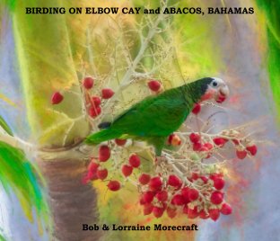 Birding on Elbow Cay v.3 book cover