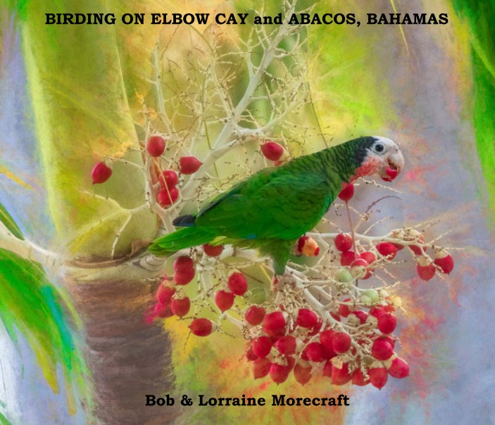 Ver Birding on Elbow Cay v.3 por Lorraine Morecraft