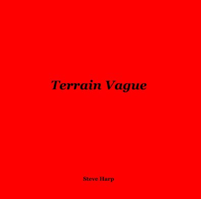 Terrain Vague book cover