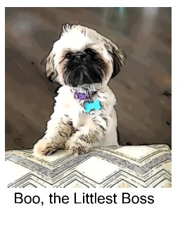 Boo, the Littlest Boss book cover
