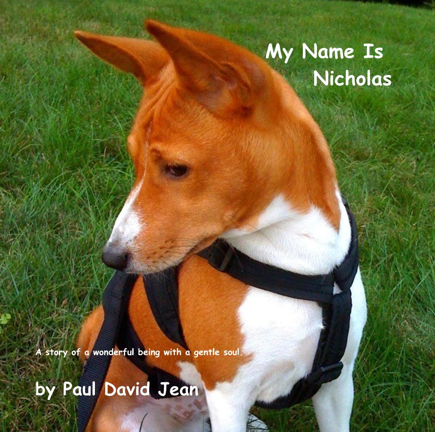 View My Name Is Nicholas by Paul David Jean