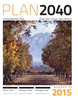 Plan2040 book cover