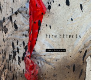 Fire Effects book cover
