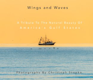 Wings and Waves book cover