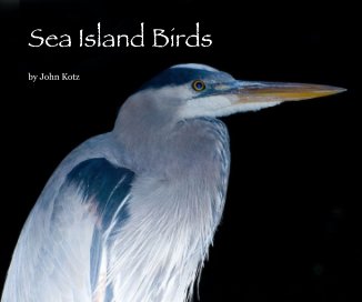 Sea Island Birds book cover