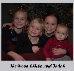 The Wood Chicks...and Judah book cover