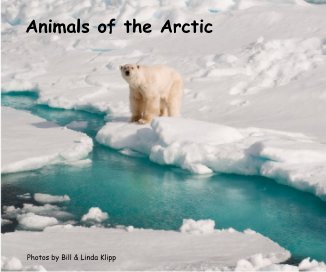 Animals of the Arctic book cover
