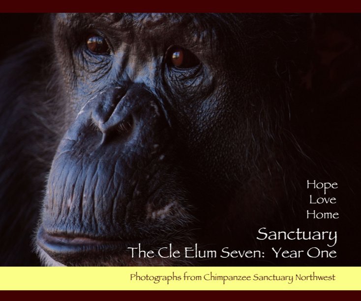 The Cle Elum  Seven: Year One nach Chimpanzee Sanctuary Northwest with Margaret Parkinson, Kathy Cochran and a foreword by Dr. Jane Goodall anzeigen