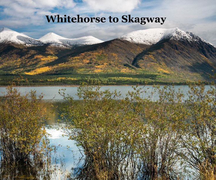 View Whitehorse to Skagway by Chris Lepard