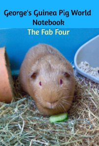 George's Guinea Pig World Notebook book cover