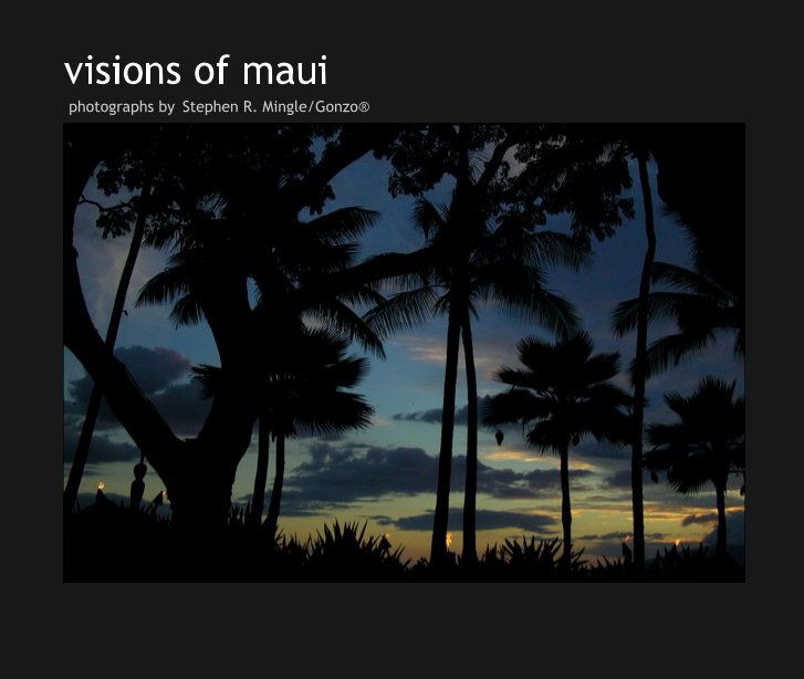 View visions of maui by sroy
