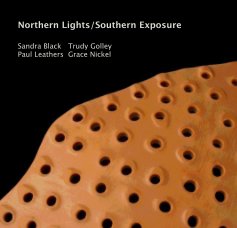 Northern Lights/Southern Exposure book cover