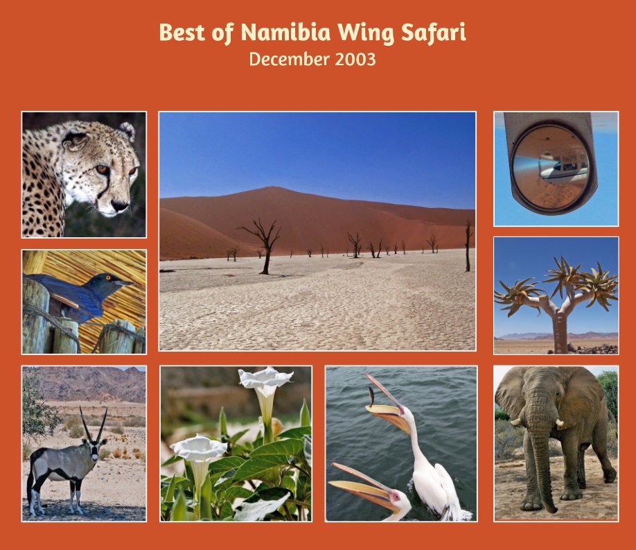 Bekijk Best of Namibia Wing Safari op Ursula Jacob
