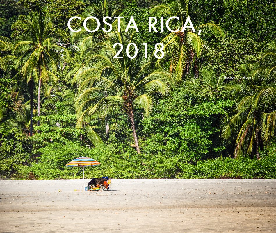 View Costa Rica, 2018 by Theresa Clemitson