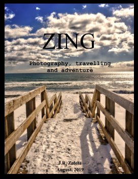 Zing book cover