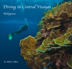 Diving in Central Visayas book cover