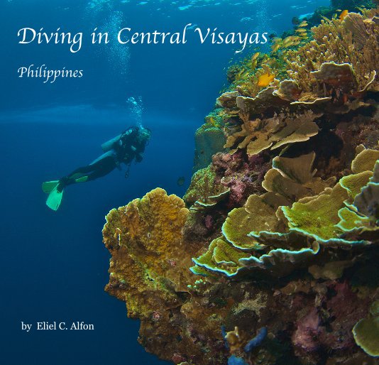 Ver Diving in Central Visayas por Eliel C. Alfon