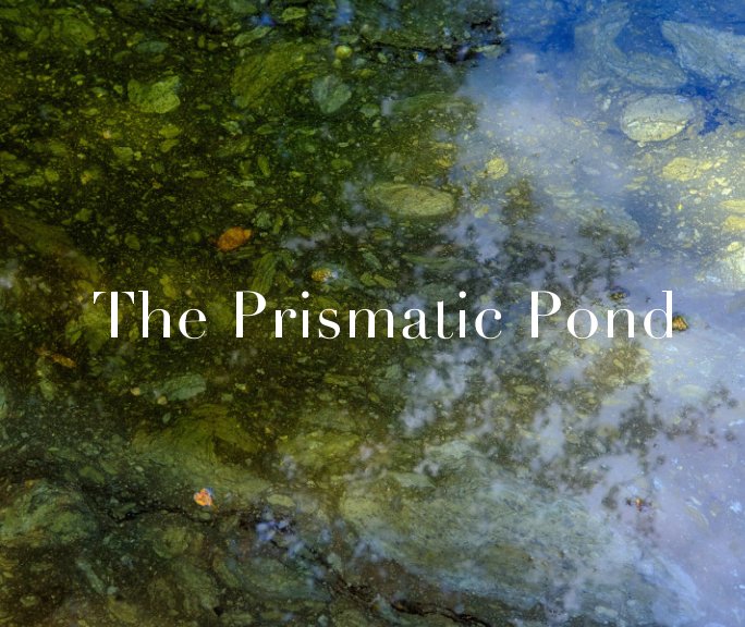 View The Prismatic Pond by Richard Earney