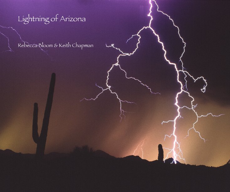 View Lightning of Arizona by Rebecca Bloom & Keith Chapman