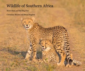 Wildlife of Southern Africa book cover