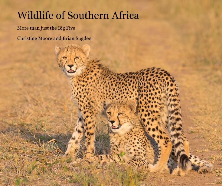View Wildlife of Southern Africa by Christine Moore - Brian Sugden