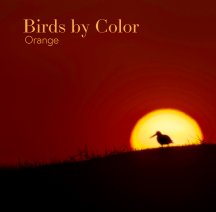 Birds by Color - Orange book cover