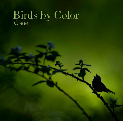 Ver Birds by Color - Green por Ray Hennessy