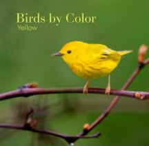 Birds by Color - Yellow book cover
