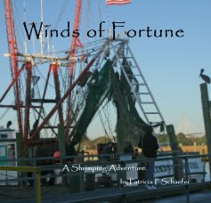 Winds of Fortune book cover