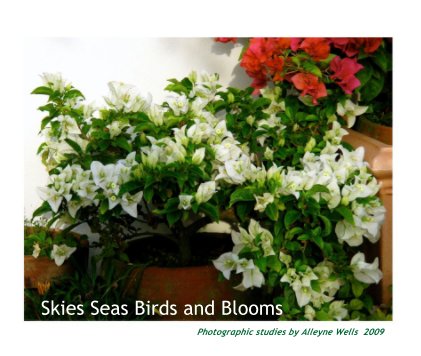 Skies Seas Birds and Blooms book cover